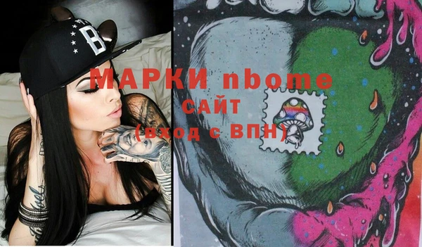 прущий лед Алзамай