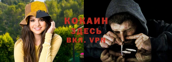 прущий лед Алзамай