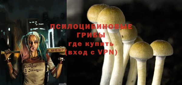 прущие крисы Алексеевка