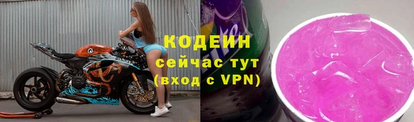 прущий лед Алзамай