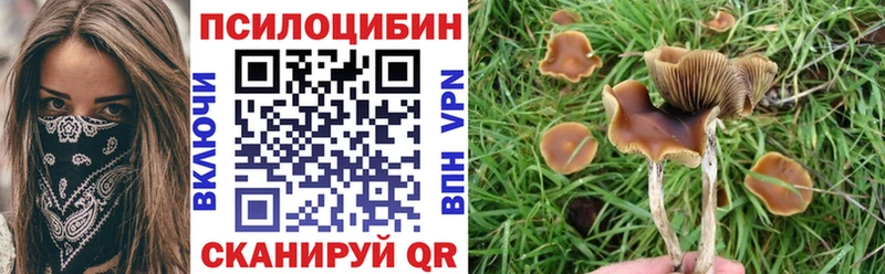 купить   гидра ССЫЛКА  Псилоцибиновые грибы Psilocybe  Динская 